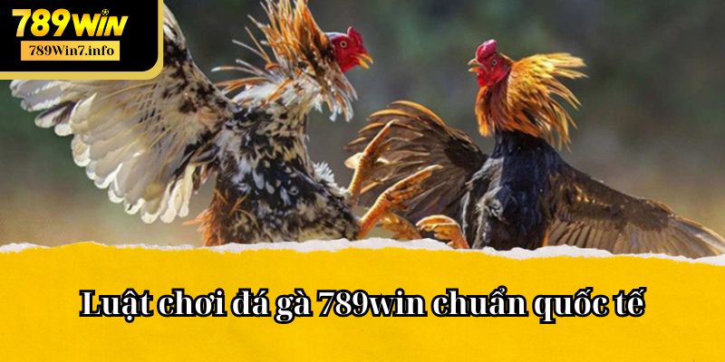 Luật chơi chi tiết được áp dụng tại đá gà 789win