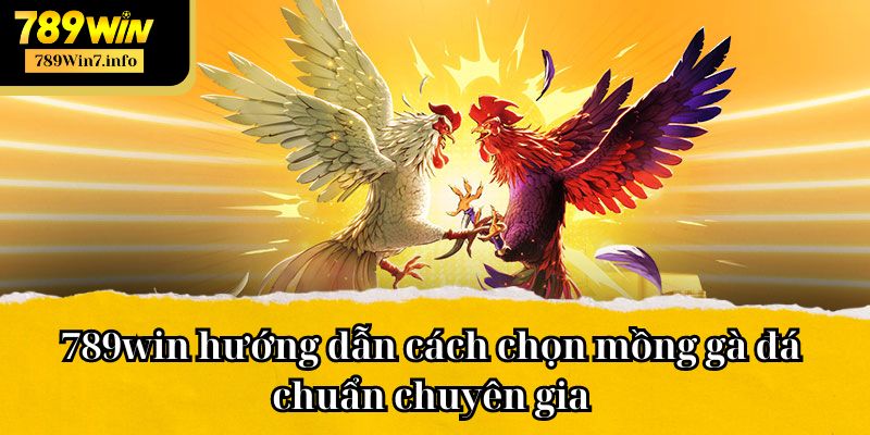 789win hướng dẫn cách chọn mồng gà đá chuẩn chuyên gia