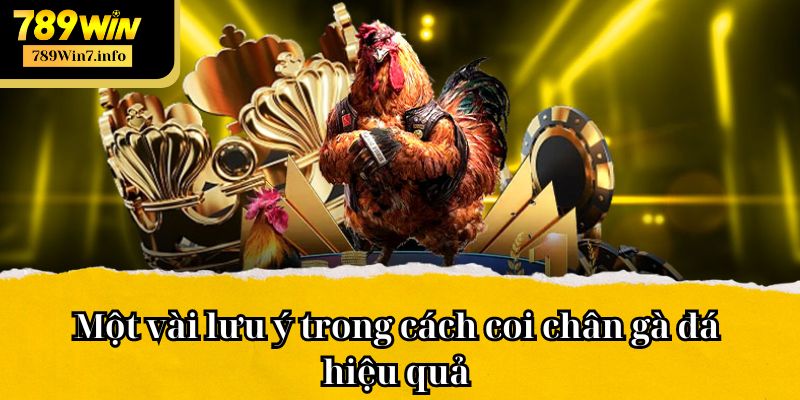 Một vài lưu ý trong cách coi chân gà đá hiệu quả 