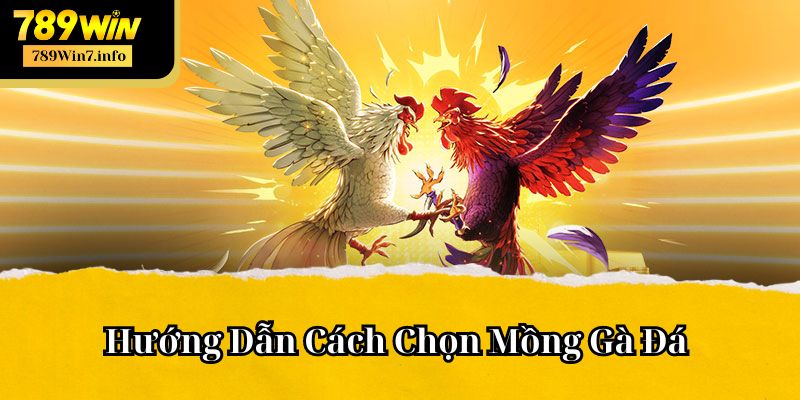 Hướng Dẫn Cách Chọn Mồng Gà Đá Chuẩn 100% từ 789win