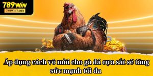 Top 6 Cách Vô Mồi Cho Gà Đá Cựa Sắt Hiệu Quả Từ Chuyên Gia