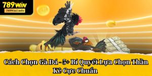 Cách Chọn Gà Đá - 5+ Bí Quyết Lựa Chọn Thần Kê Cực Chuẩn