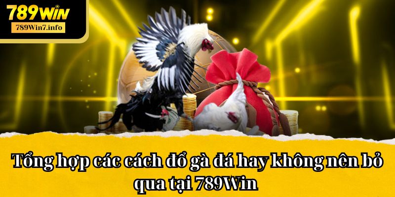 Tổng hợp các cách đổ gà đá hay không nên bỏ qua tại 789Win