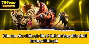 Cách Coi Chân Gà Đá Áp Dụng Bởi Nhiều Danh Kê Hàng Đầu