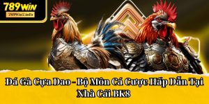 Đá Gà Cựa Dao - Bộ Môn Cá Cược Hấp Dẫn Tại Nhà Cái 789Win