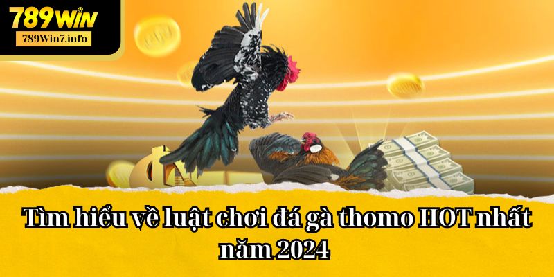 Tìm hiểu về luật chơi đá gà thomo HOT nhất năm 2024